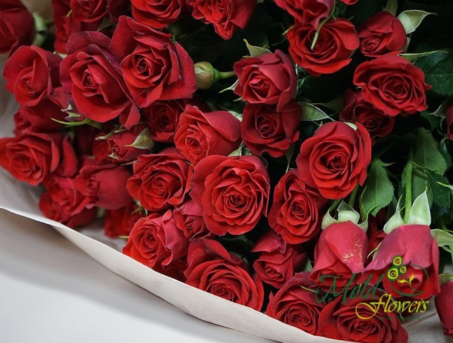 Букет из кустовых роз красного цвета Фото